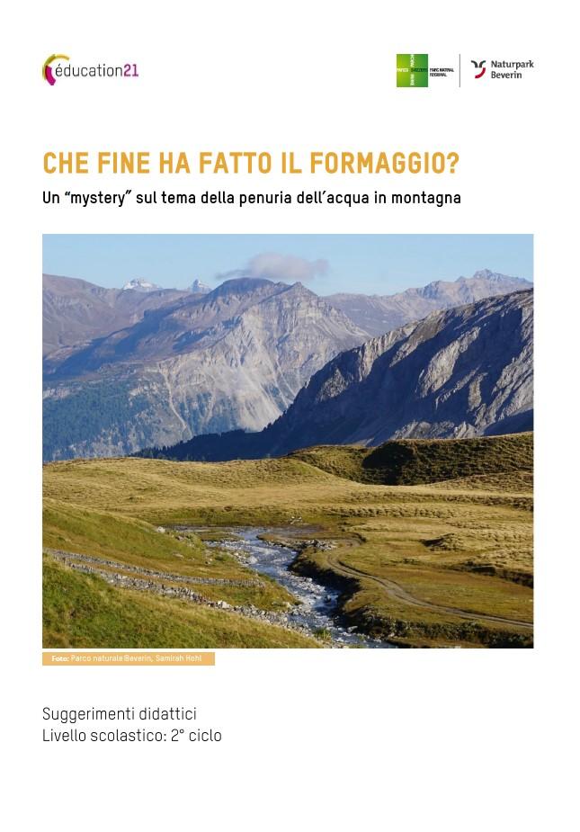 Mystery: che fine ha fatto il formaggio?